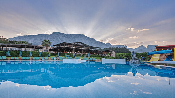 Gypsophila Club Marine